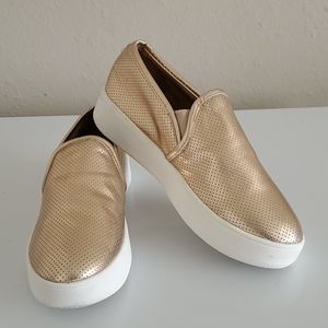 Steve Madden  Sneakers